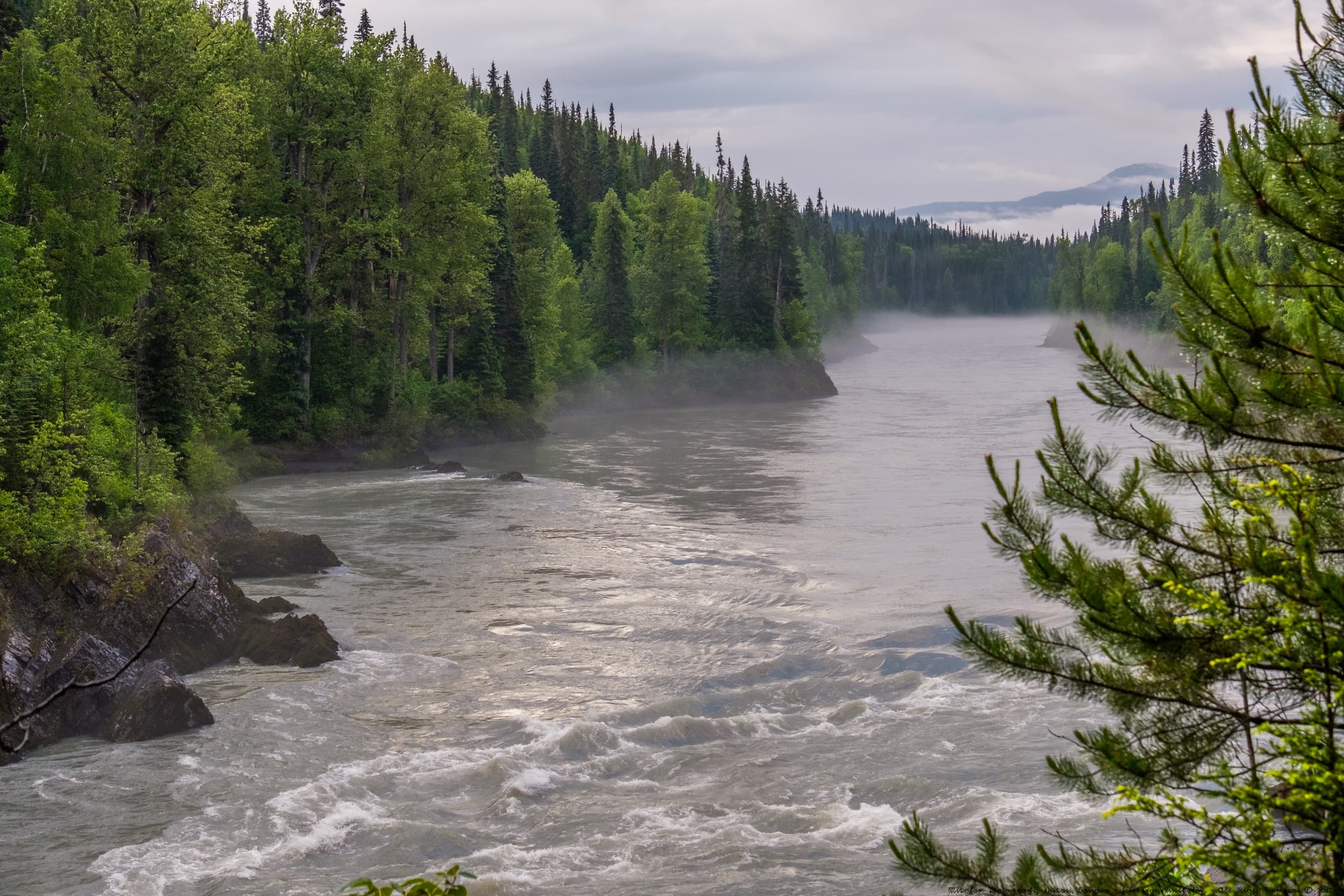 Nass River near Meziadin Lake, BC.